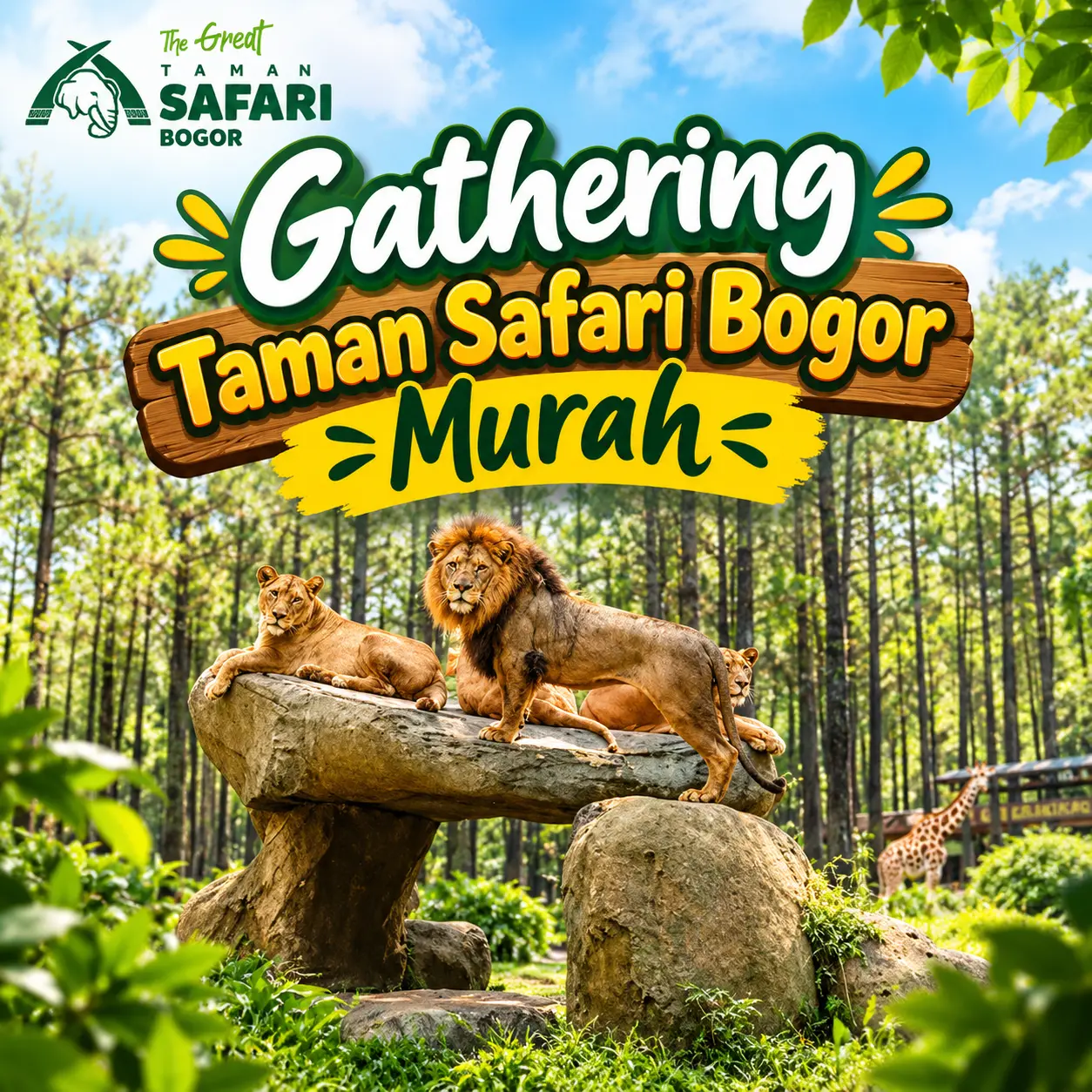 gathering taman safari bogor